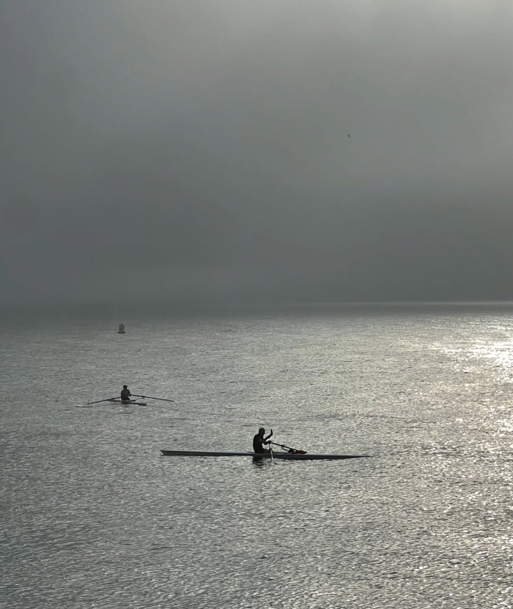 Two Rowers in the Fog